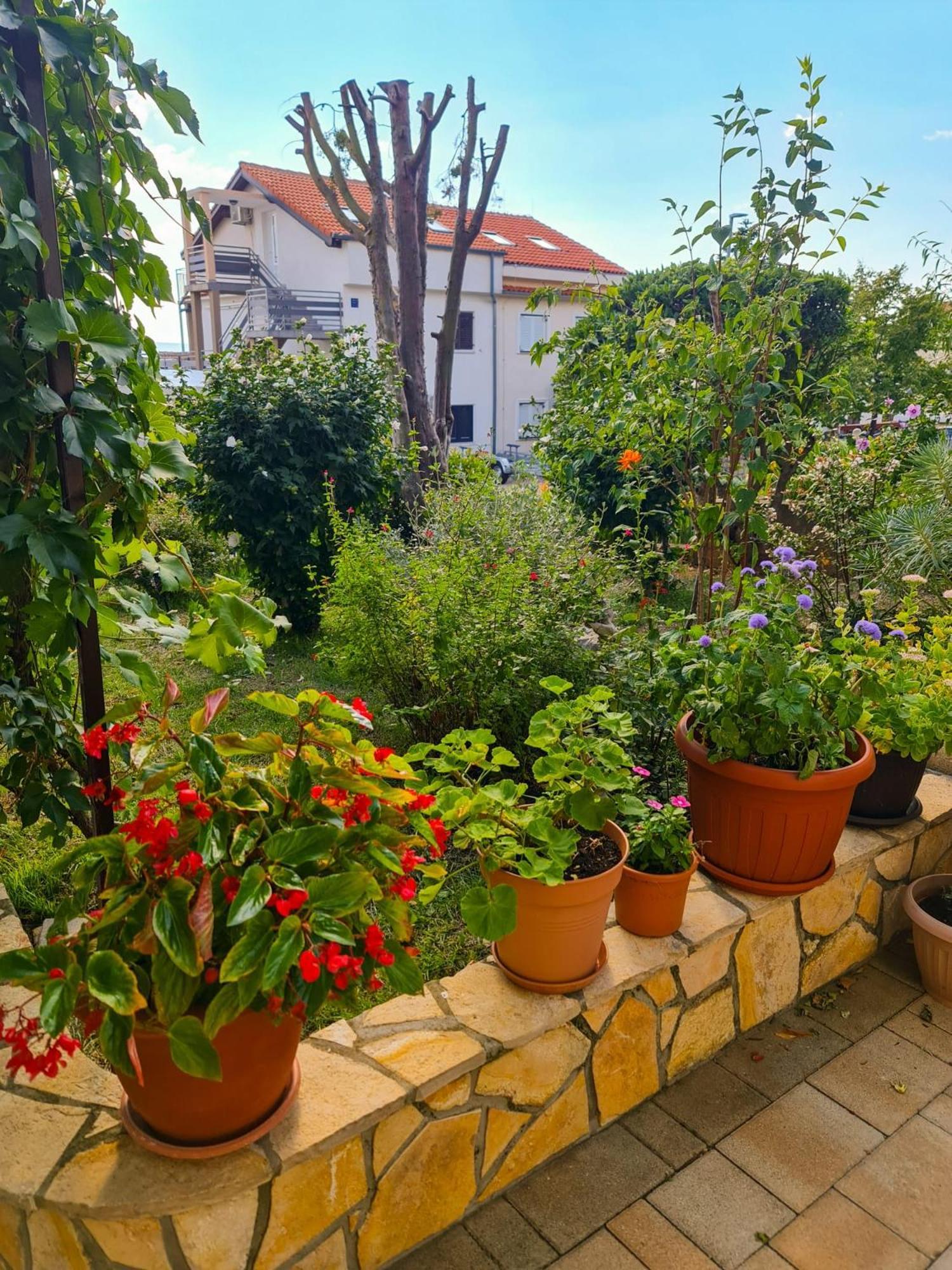 Apartments Marko Novi Vinodolski Chambre photo